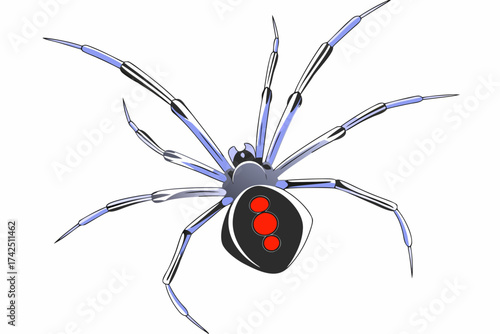 spider isolated on white background