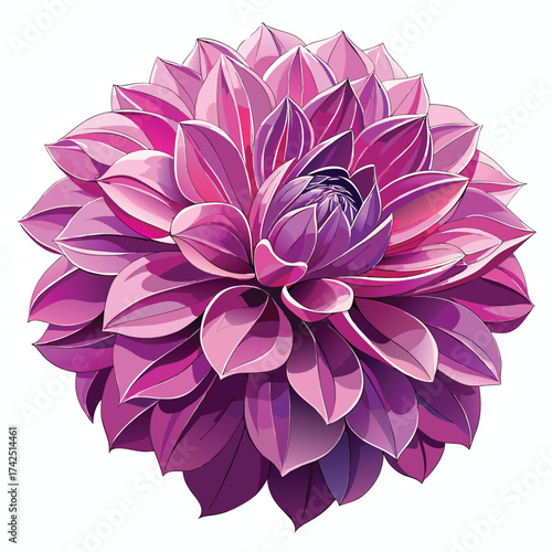 pink dahlia flower