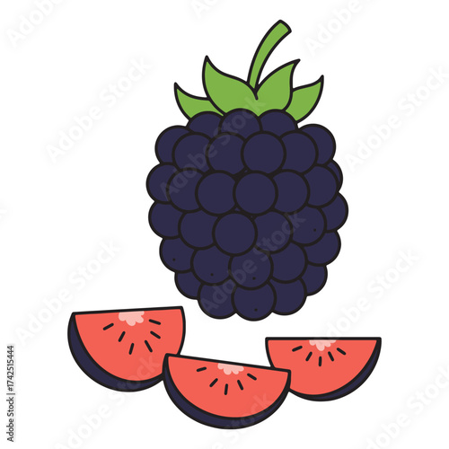 Ripe blackberries and slices of watermelon, a refreshing fruit combination for a healthy lifestyle