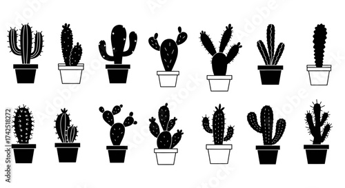 Diverse cactus collection in monochrome pots, a minimalist plant illustration