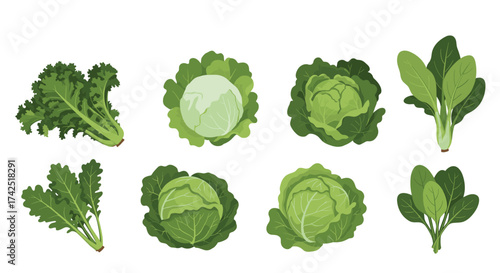 Various fresh green leafy vegetables arranged in a grid.