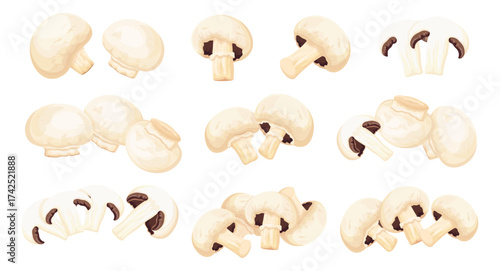 Set of fresh champignon mushrooms in cartoon style. Vector illustration of various healthy, tasty champignons: whole, half, sliced ​​isolated on white background.Mushrooms for cooking culinary dishes.