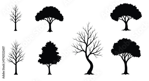 Silhouettes of various trees in differing shapes and seasonal stages