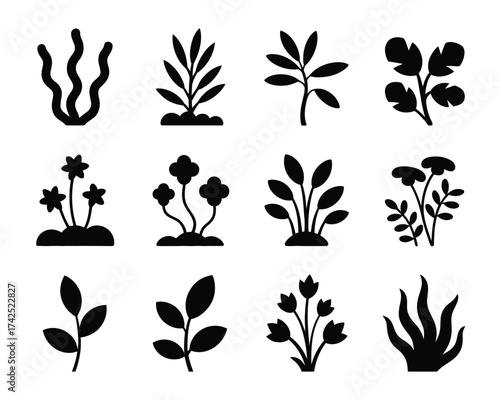 Set of 12 black and white minimalist plant illustrations scalable vector graphics for diverse applications silhouette vector illustration white background