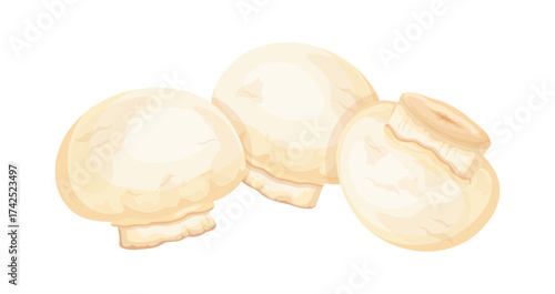Group of small mushrooms champignons in cartoon style. Vector illustration of fresh whole champignons isolated on white background.
