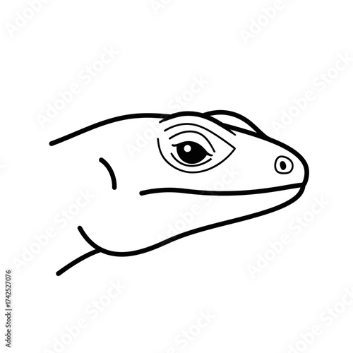 Detailed Line Drawing of a Lizard Head Profile.