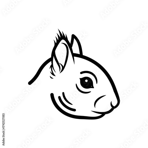 Detailed black and white illustration of a squirrel head with focused gaze.