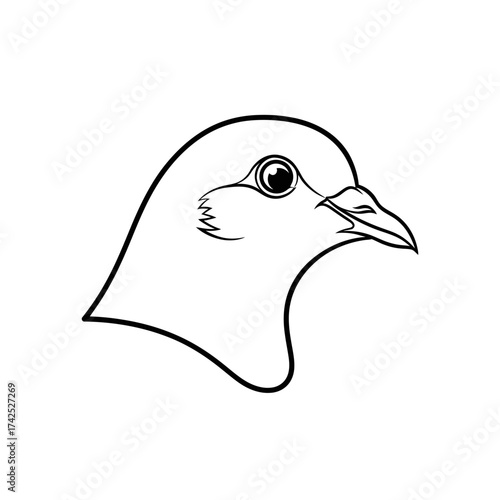Detailed Line Art of a Pigeon Head Profile.