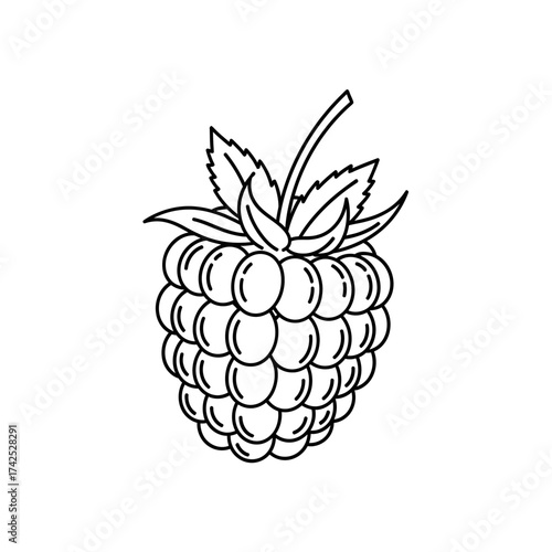 Simple Line Drawing of a Fresh Raspberry Fruit with Leaves.