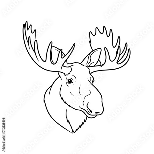 Majestic Moose Head with Antlers Line Art Illustration.