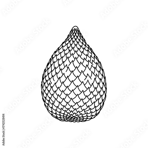 Salak Fruit Illustration - Detailed Scaly Skin Texture.
