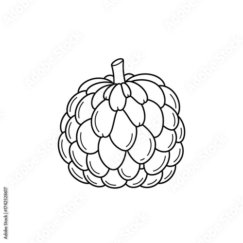 Detailed illustration of a sugar apple fruit, showing its unique texture and shape.