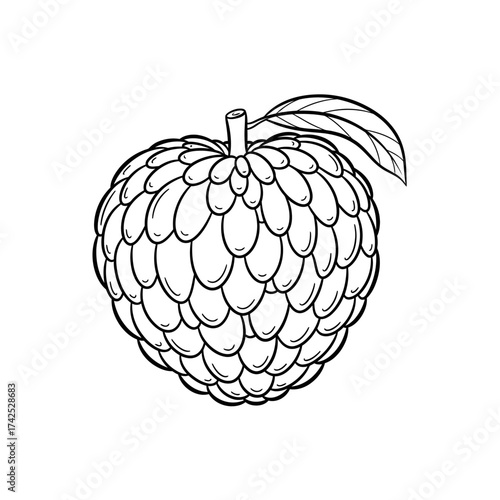 Custard apple fruit illustration with leaf and stem.