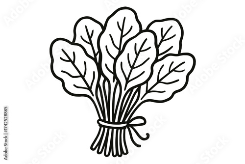 Hand-drawn bunch of spinach leaves illustration in black and white design