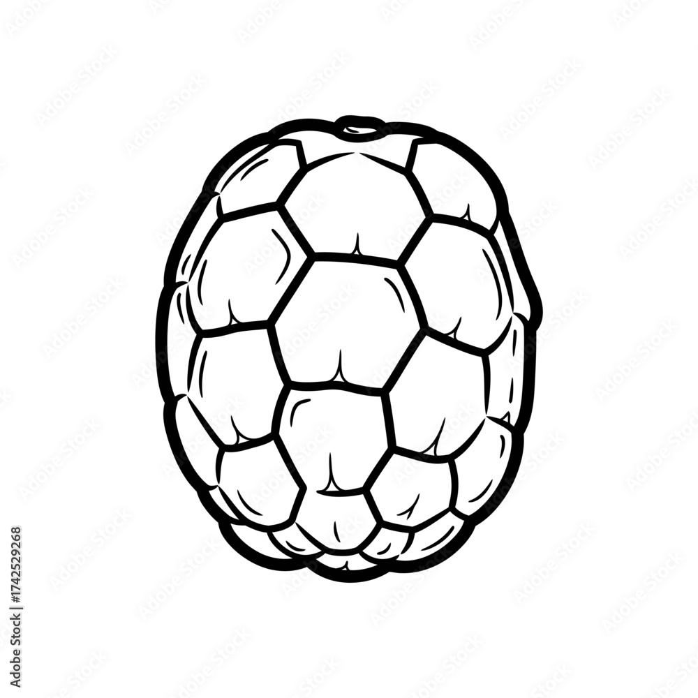 Naklejka premium A simple black and white line drawing of a raspberry fruit.