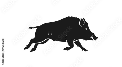 Silhouette of a Wild Boar Running with Determination.