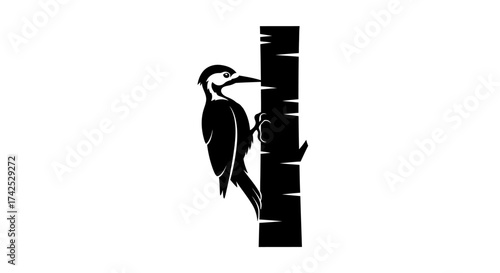 Black and white illustration of a woodpecker climbing a tree trunk.
