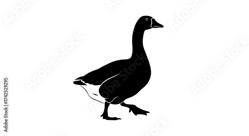 Black silhouette of a walking goose vector illustration.