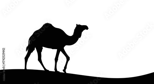 Silhouette of a camel walking across the desert landscape under the sun.
