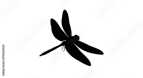 Dragonfly Silhouette Isolated on White Background.