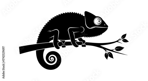 Black silhouette of a chameleon lizard on a tree branch.