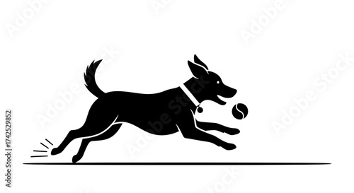 Silhouette of a dog running with a ball, full of energy.