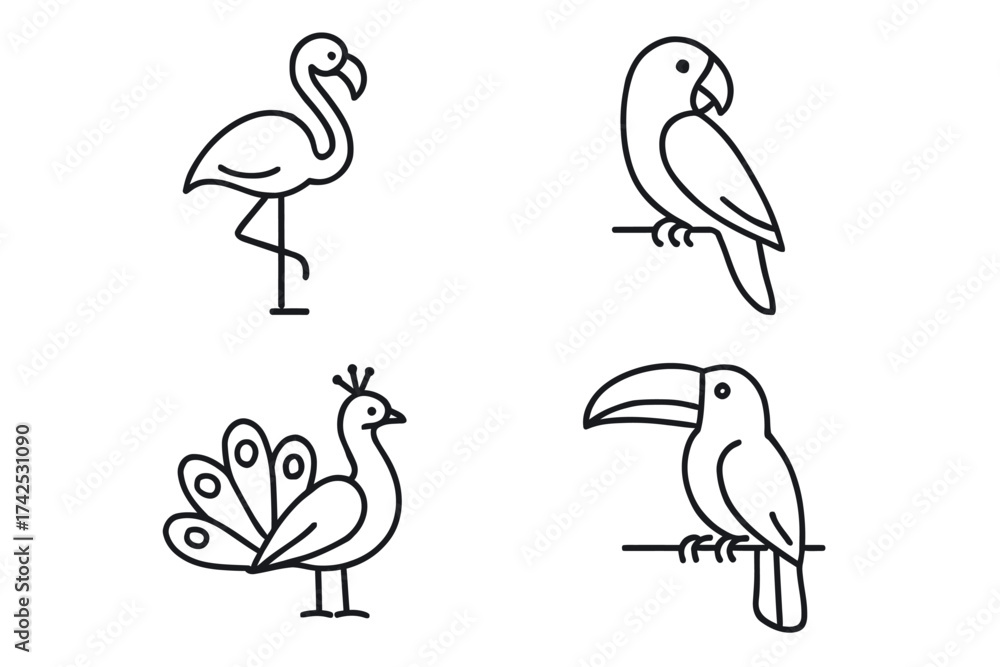 Obraz premium Line art illustrations of flamingo, parrot, peacock, and toucan birds