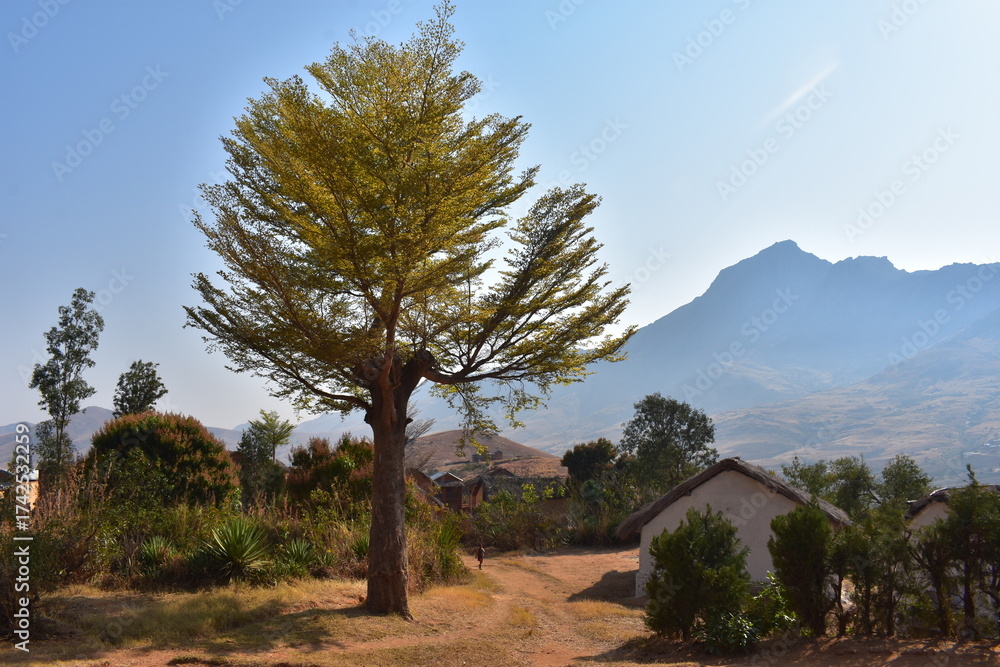 Obraz premium madagascar - andrigintra