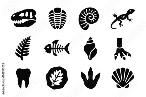 Collection of fossil icons vector graphics scalable illustration for educational and scientific design projects silhouette vector illustration white background