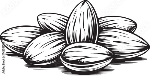 Black and White Almond Illustration  Detailed Hand-Drawn Nut Sketch with Cross-Hatching Texture