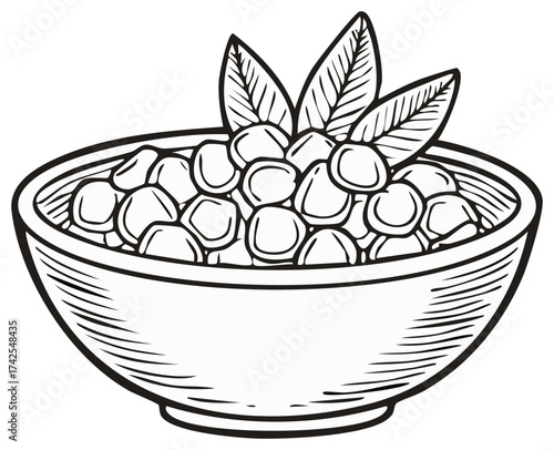 Bowl of dumplings with leaves graphic illustration