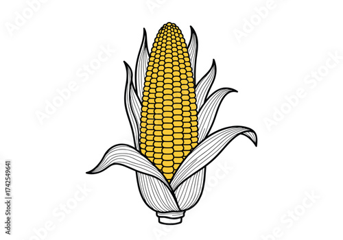 A hand drawn illustration of a fresh yellow corn cob with green husks and silk.