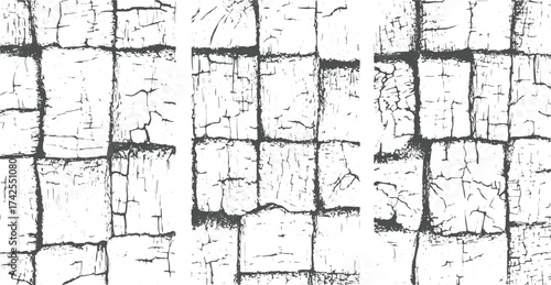 Rough Black and White Vector Texture | Distressed Grunge Background with Abstract Overlay Seamless set crack pattern. in grunge style. Vertical structure. vectors design on transparent background.