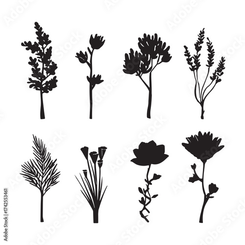 Elegant botanical silhouettes showcasing diverse flower and plant types in black