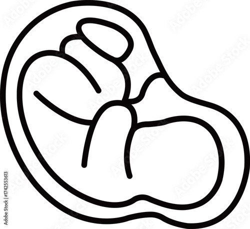Fetal Development Stages - Fetus in Womb Outline Icon