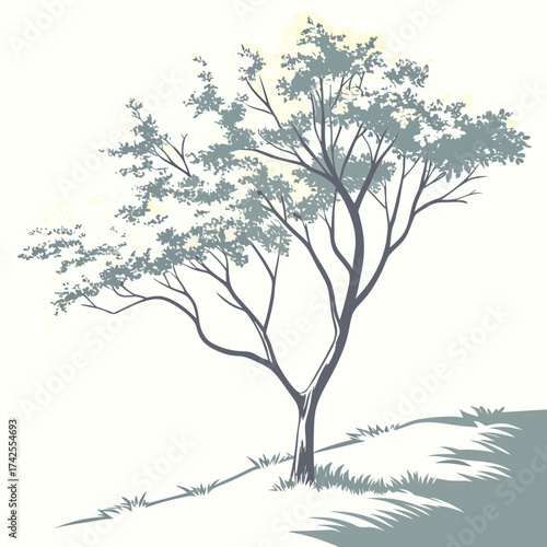 Stylized illustration of a solitary tree with delicate branches and muted foliage on a gentle slope