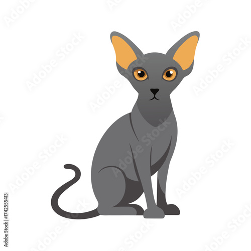 Sphynx cat sitting with large ears and yellow eyes Keywords: cat, sphynx, hairless, animal, pet