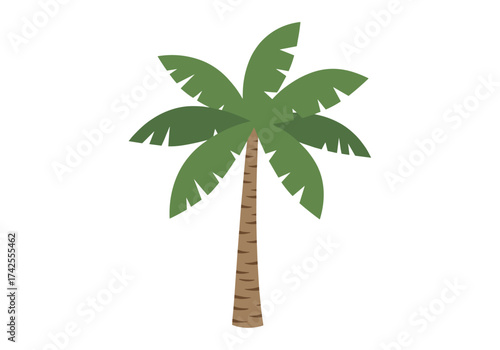 A single palm tree stands tall with its green leaves reaching out.