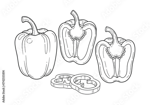 An illustration of bell peppers including whole and sliced varieties.
