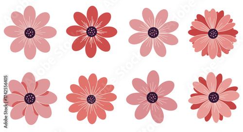 A collection of eight pink and red daisy like flowers simple illustration