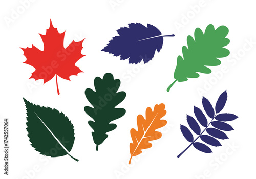 A collection of various stylized tree leaves.