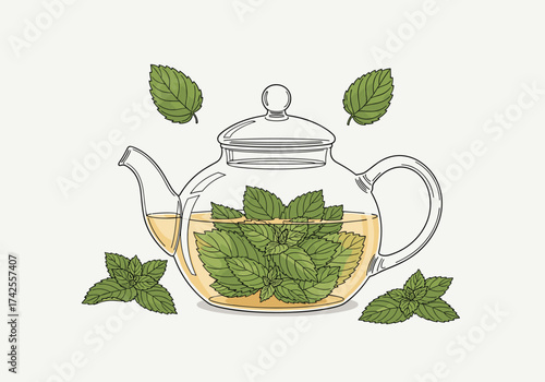 A clear glass teapot filled with fresh mint leaves and brewed tea.