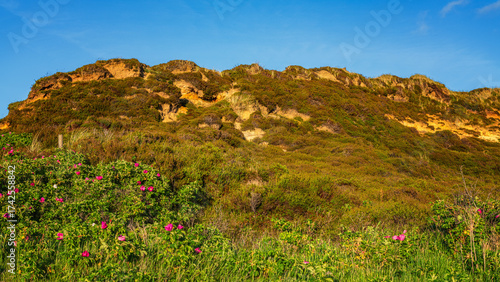 Sommer auf Sylt am Morsumer Kliff