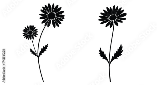 Wallpaper Mural Simple black and white illustration of two daisy flowers with green leaves Torontodigital.ca