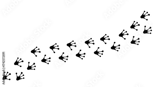 Toad trail, toad tracks footprints, path isolated, paw print, animal tracks