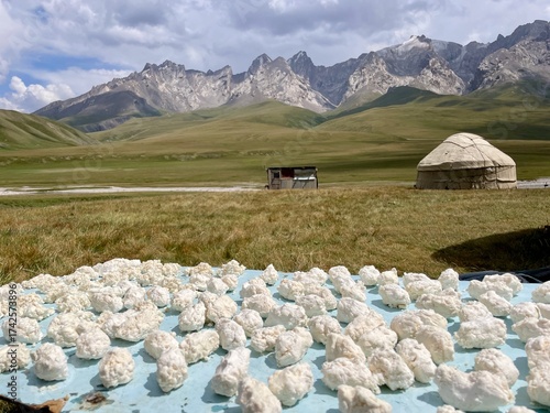 Kurut - a hard, salty, and tangy ball of dried, fermented dairy - laid on plate to be sun-dried. Kel Suu, Kyrgyzstan.