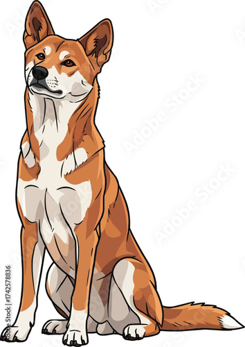 dingo dog sitting relaxed vector illustration
