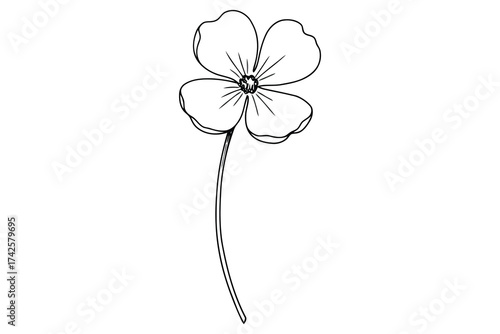 Vector art of four leaf clover outline, a symbol of luck and good fortune in nature