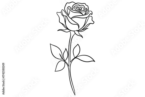 Vector art of elegant rose flower with stem and leaves in a single continuous line drawing