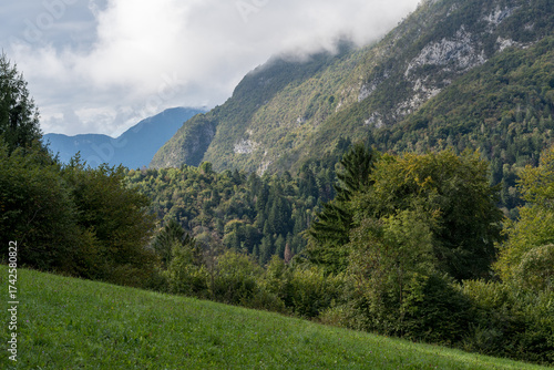 Green alpine slopes and forested valley under clouds in Illegio, Friuli Venezia Giulia, Italy. A peaceful landscape of early autumn light.
